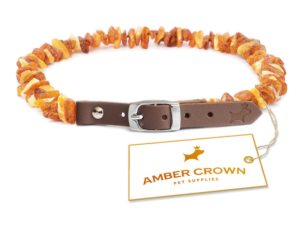 Natural Baltic Amber Tick & Flea Collar for Dogs – AmberCrown
